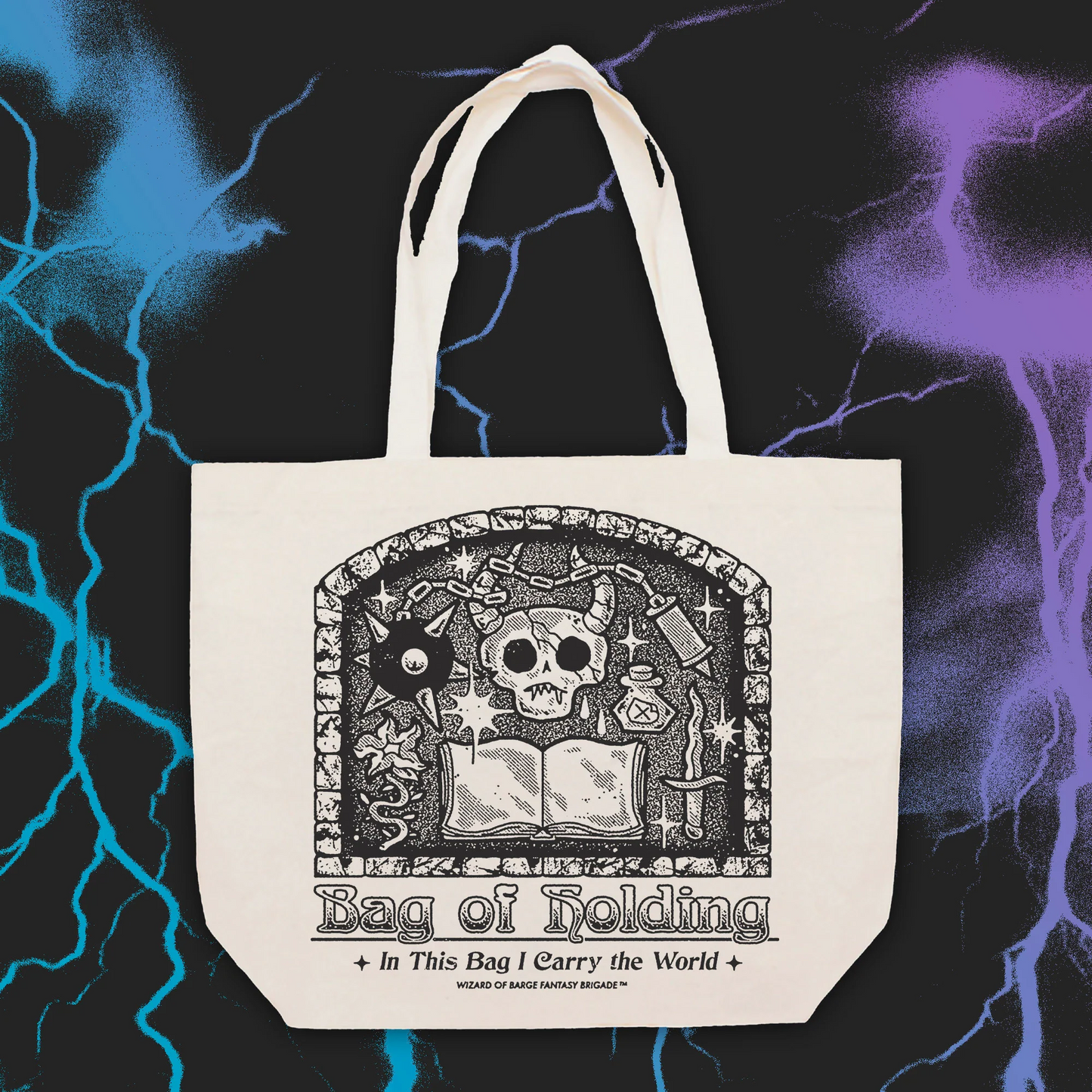 BAG OF HOLDING TOTE