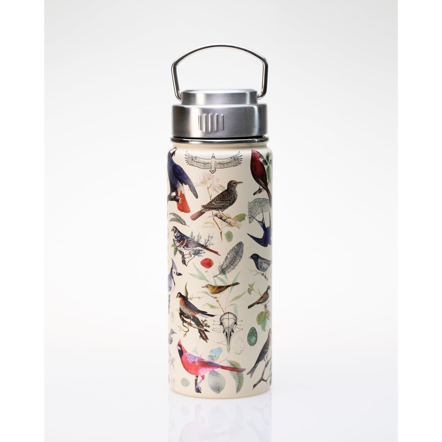 BIRDS 18OZ STEEL BOTTLE
