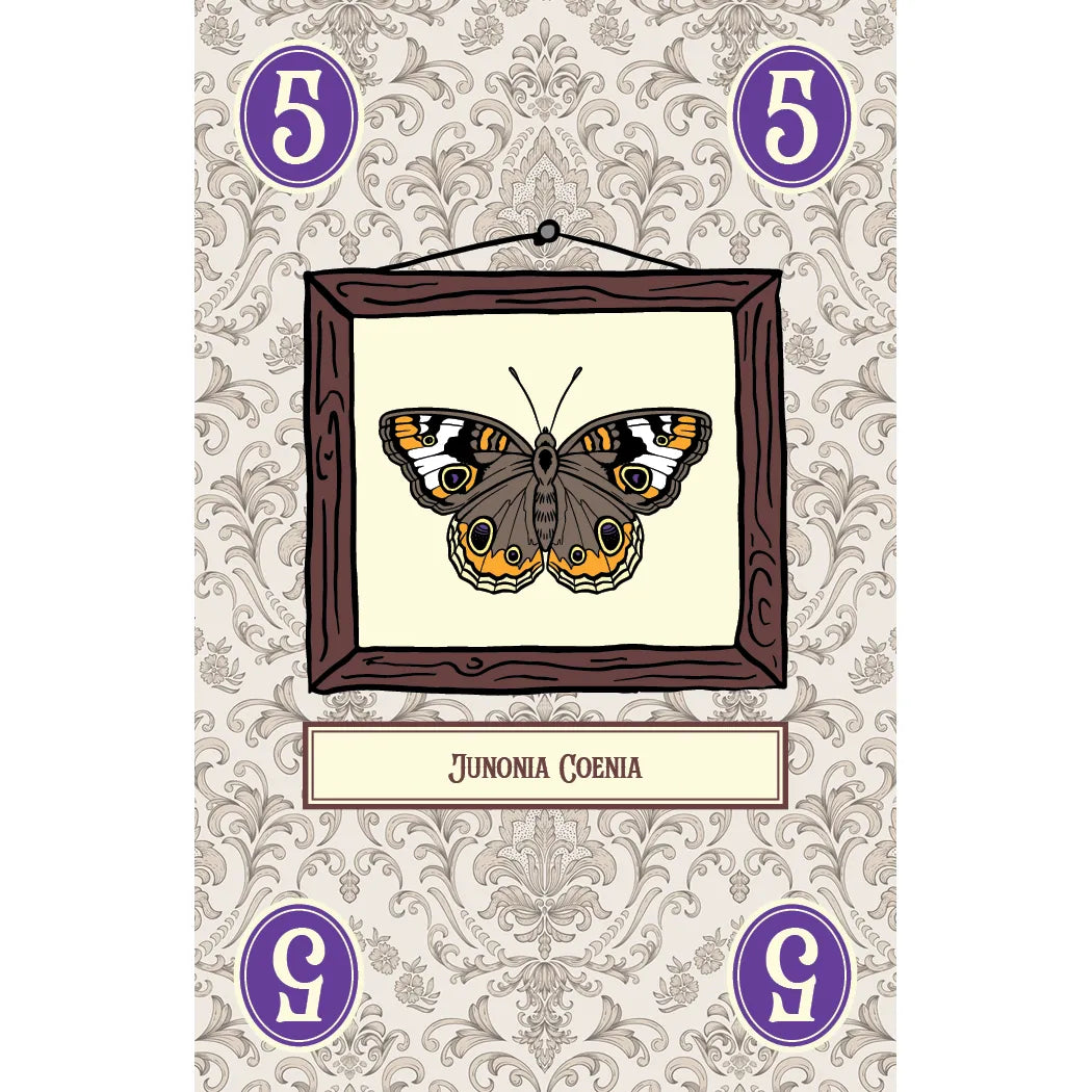 LEPIDOPTERY