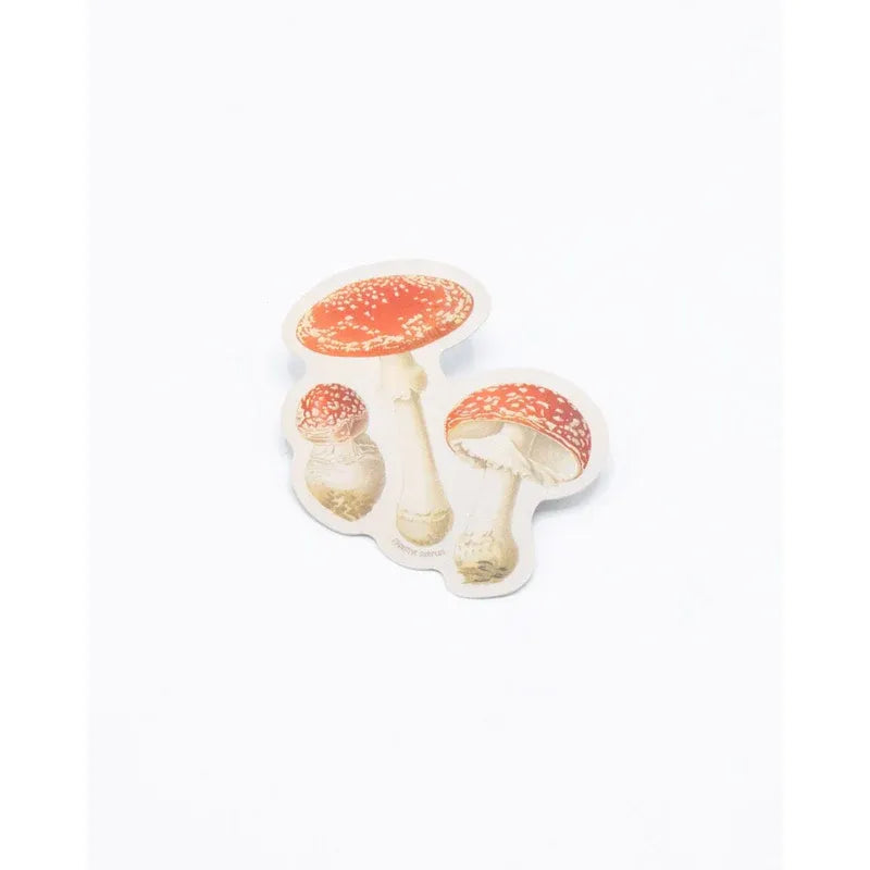 FLY AGARIC POISONOUS STICKER