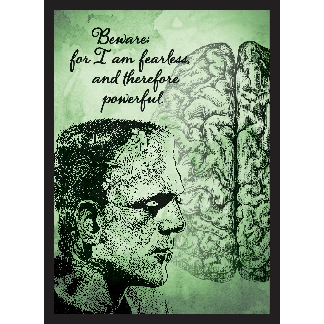 LEGION FRANK SLEEVES (50)