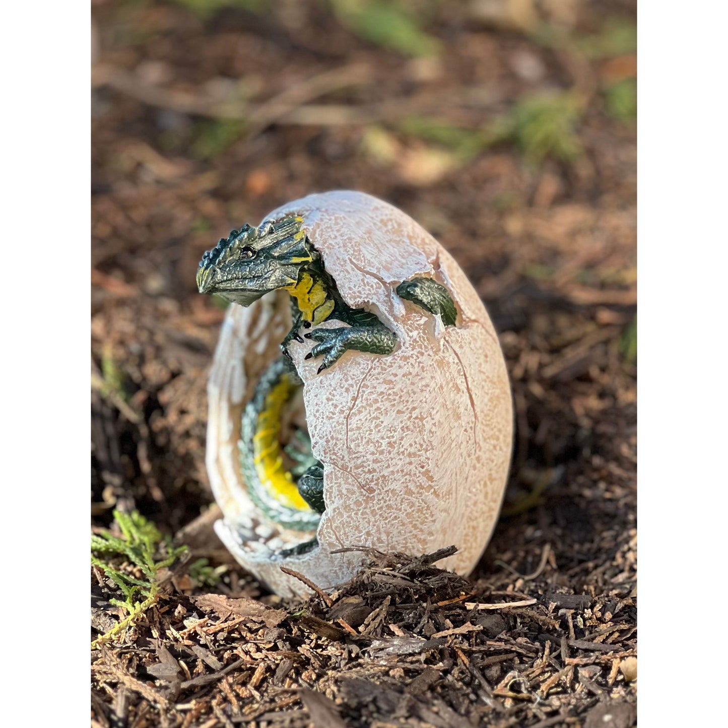 GREEN DRAGON HATCHLING