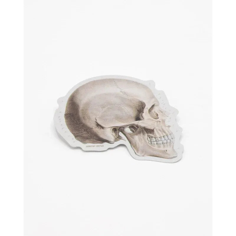 SKULL PROFILE STICKER