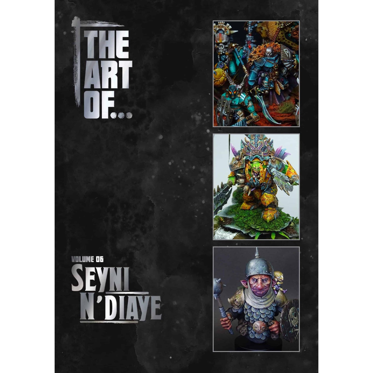 THE ART OF SEYNI N'DIAYE