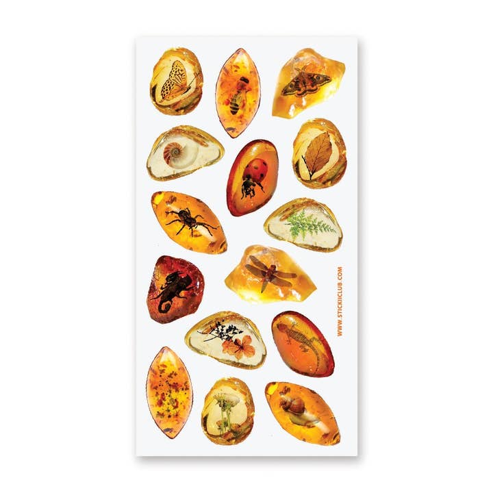 AMBER FOSSILS STICKER SHEET