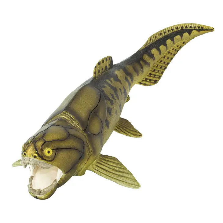DUNKLEOSTEUS