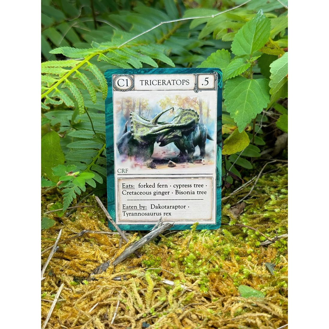 ECOLOGIES CARD GAME ANCIENT AREAS EXPANSION
