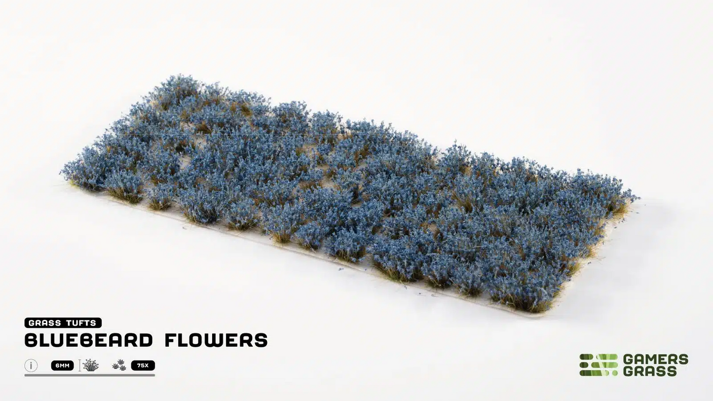 GAMER'S GRASS BLUEBEARD FLOWERS