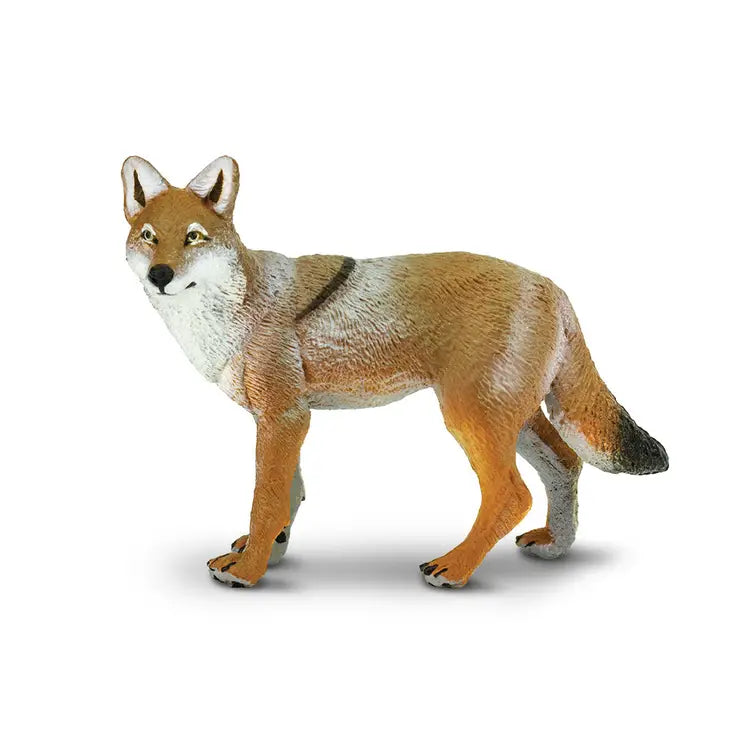 COYOTE