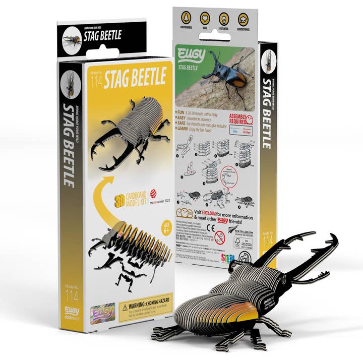 EUGY STAG BEETLE