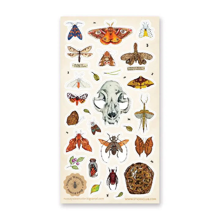 NATURE STUDY STICKER SHEET
