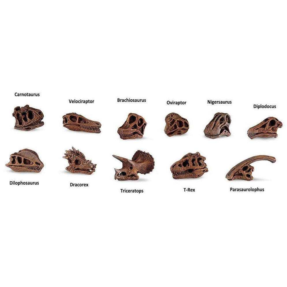 TOOB DINO SKULLS