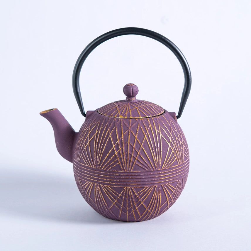 TESTUBIN PURPLE ROUND CAST IRON TEA POT