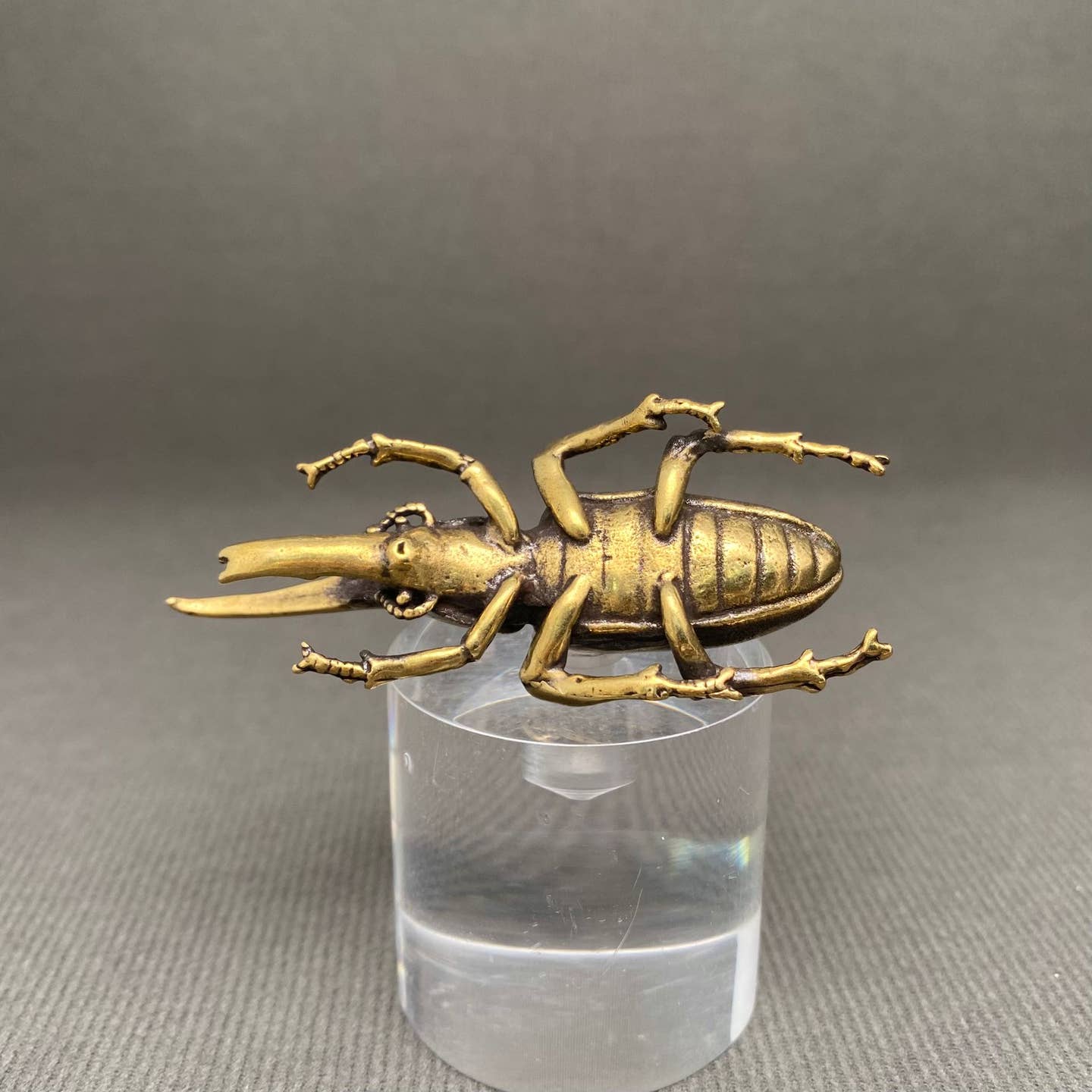 MINIATURE BRASS RHINOCEROS BEETLE