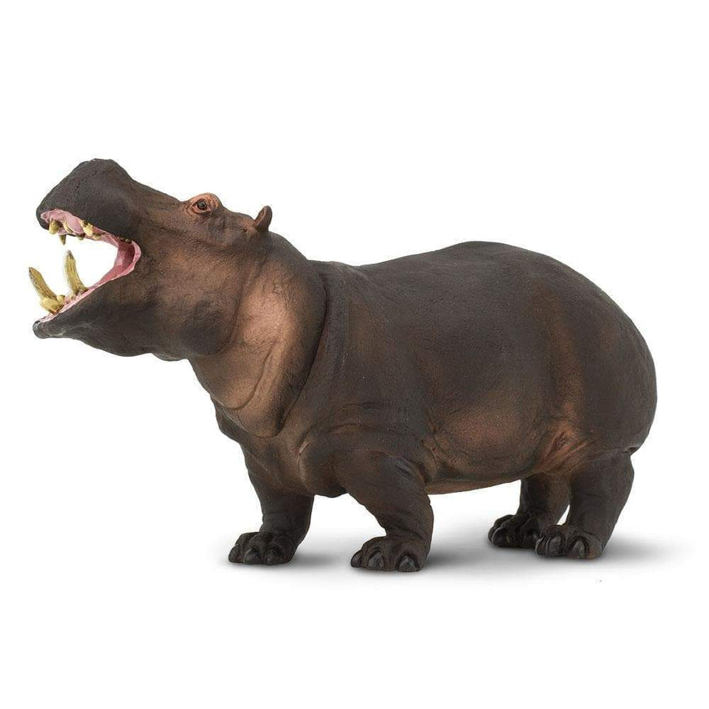 HIPPOPOTAMUS