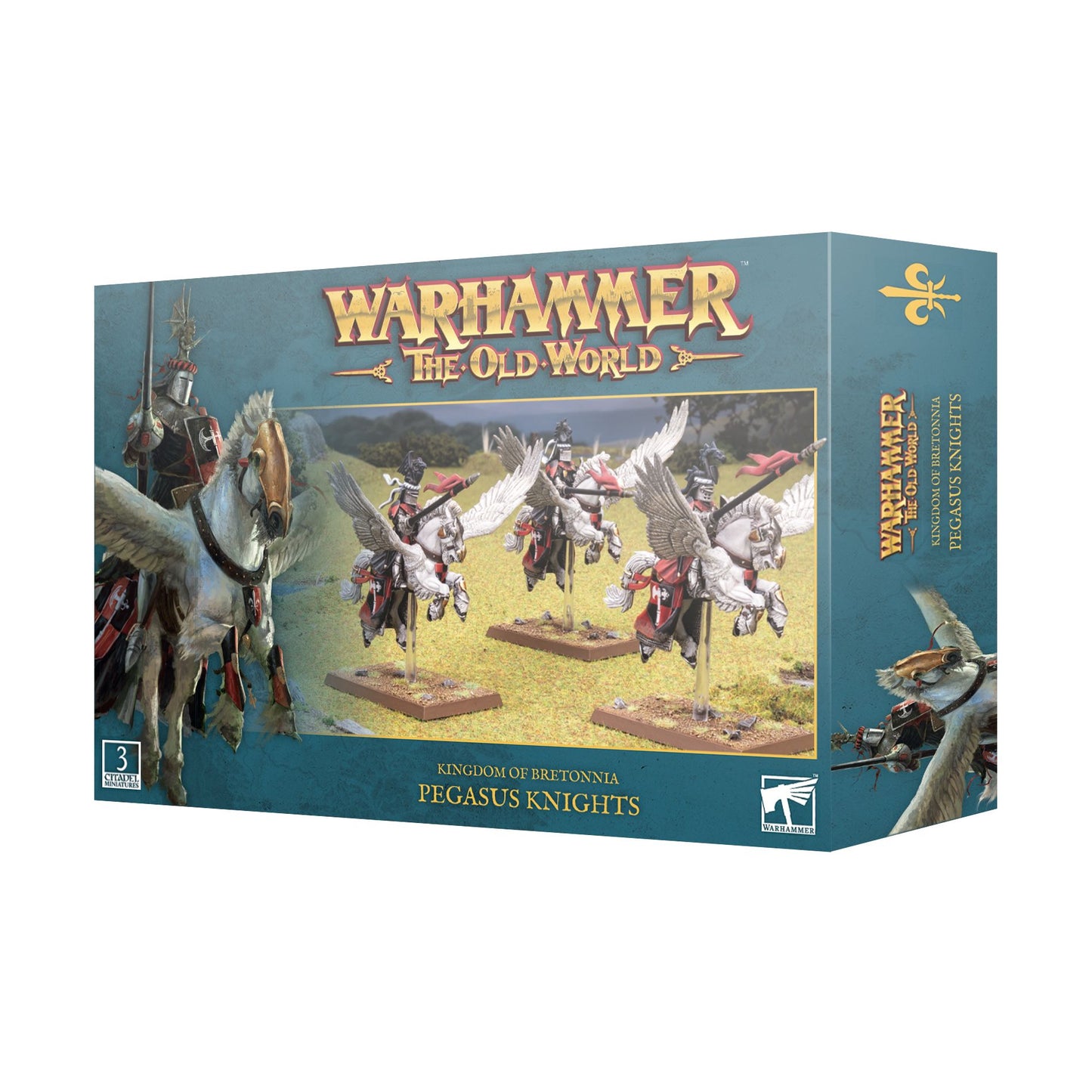 WARHAMMER TOW BRETONNIAN PEGASUS KNIGHTS