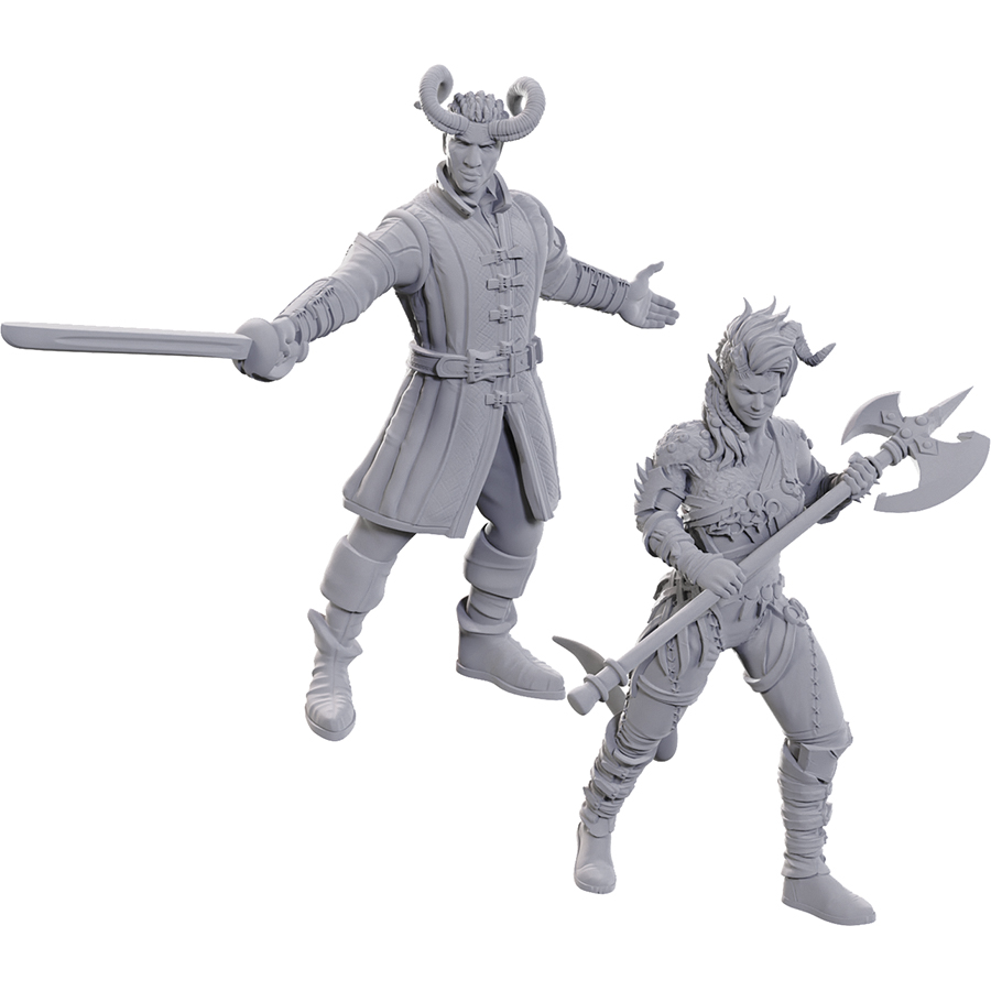 D&D SPECIAL EDITION WYLL & KARLACH