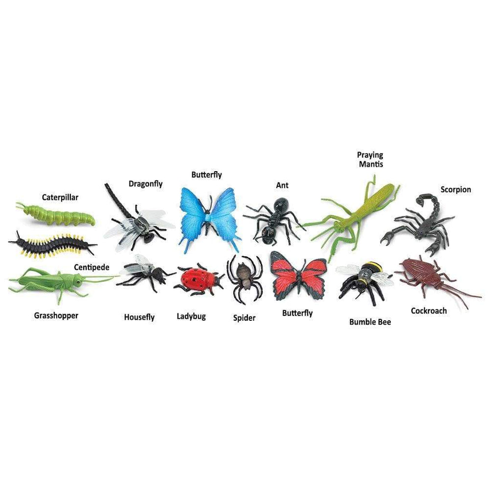 TOOB INSECTS