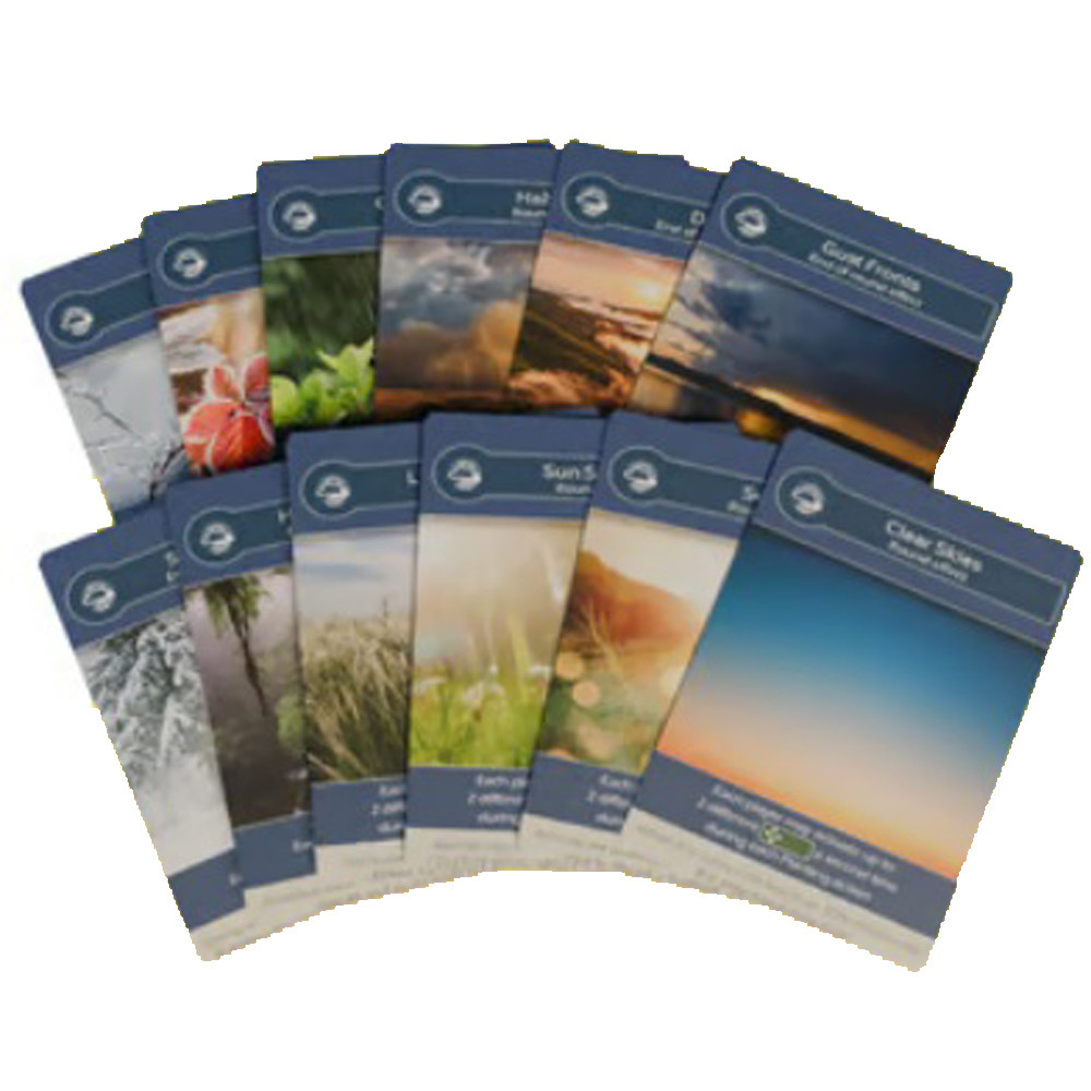 EARTH ABUNDANCE WEATHER MODULE