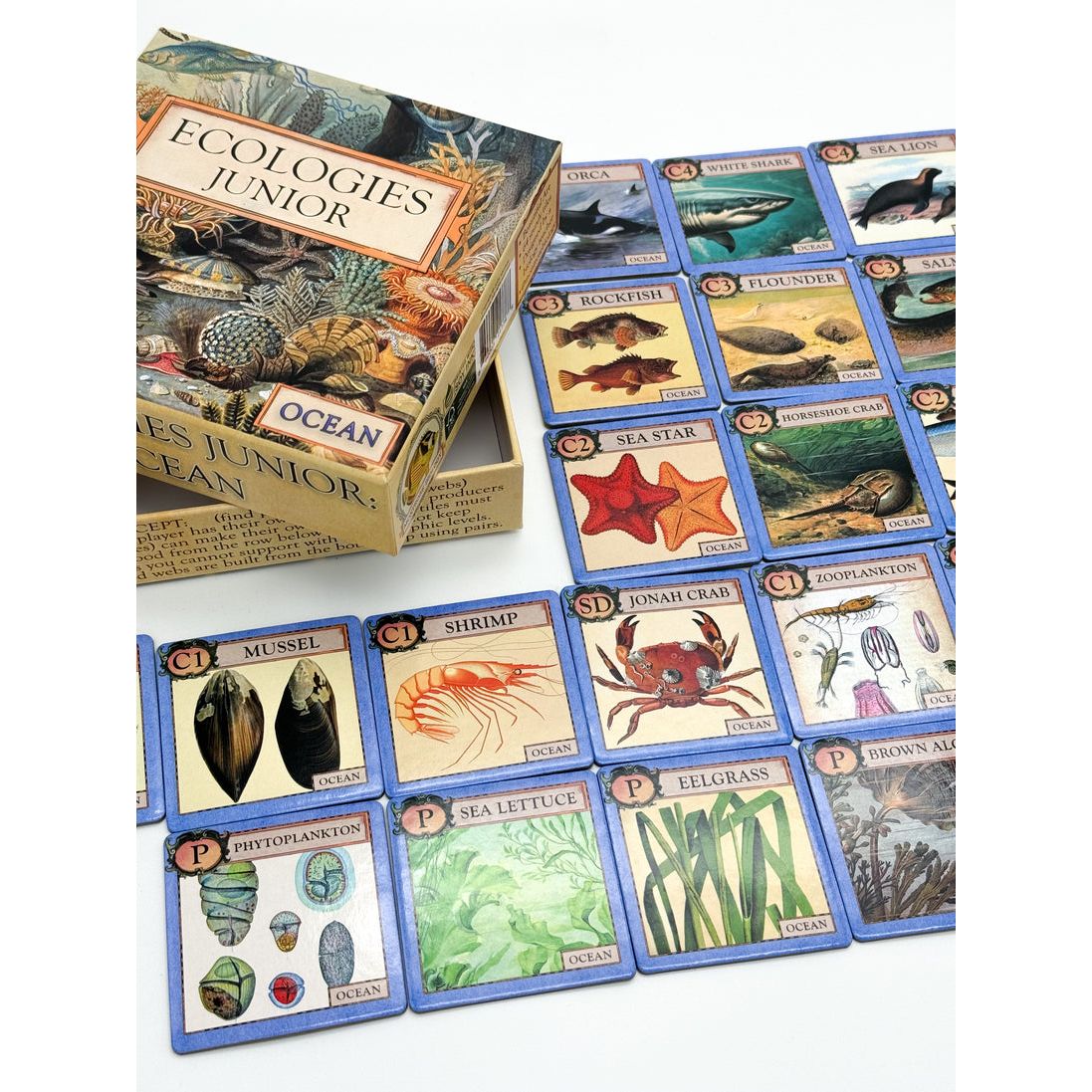 ECOLOGIES JUNIOR: OCEAN