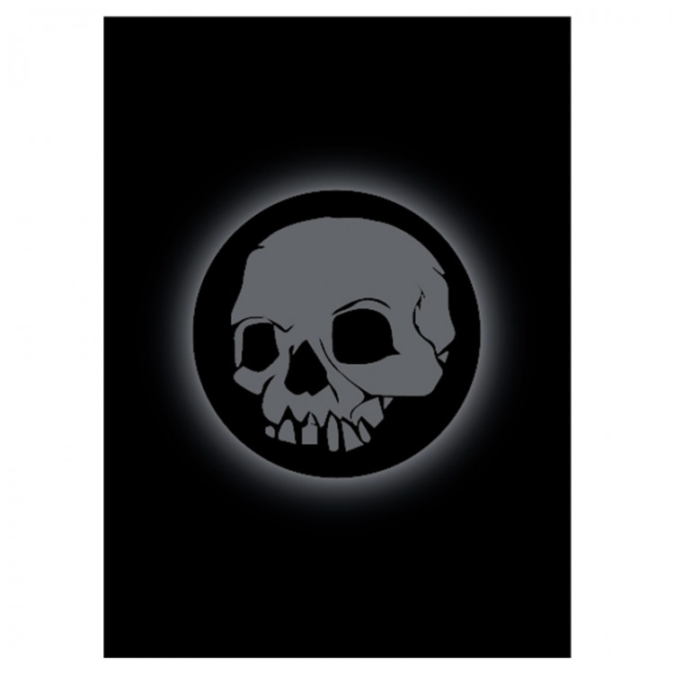 ABSOLUTE SKULL SLEEVES