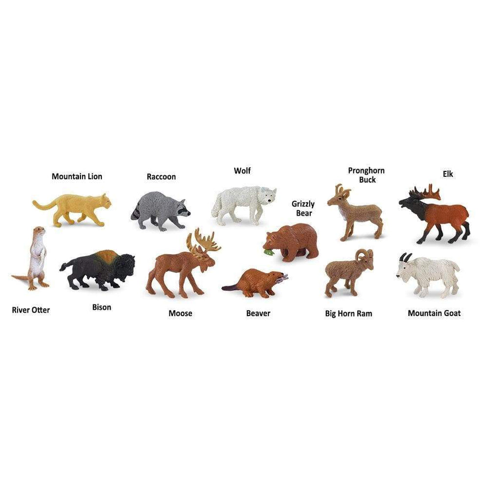 TOOB NORTH AMERICAN WILDLIFE