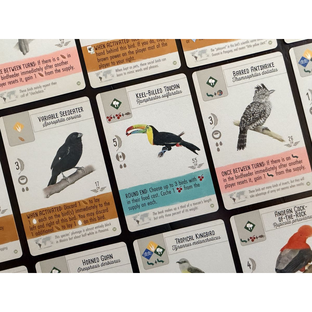 WINGSPAN AMERICAS EXPANSION