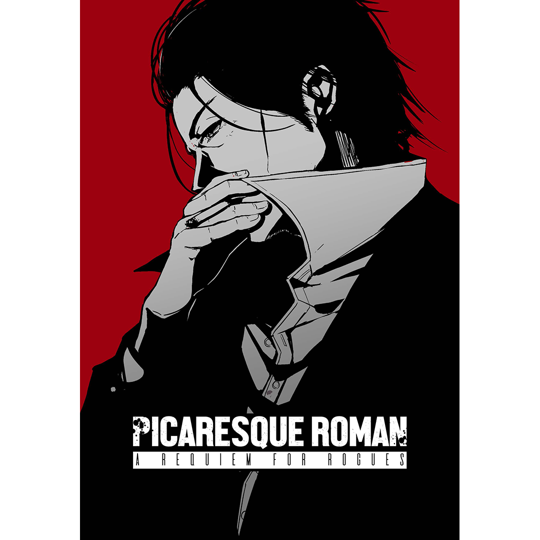PICARESQUE ROMAN