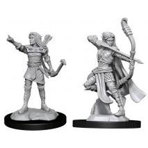 D&D NOLZUR'S ELF RANGER FEMALE