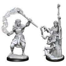 D&D NOLZUR'S FIRBOLG DRUID FEMALE
