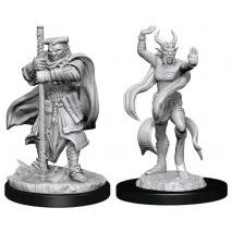 D&D NOLZUR'S HOBGOBLIN DEVASTATOR & IRON SHADOW
