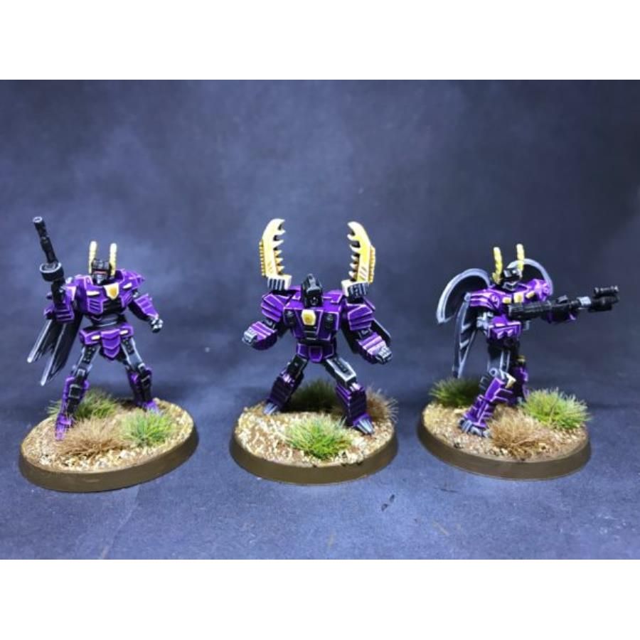 WEEVIL, BEETLE, LOCUST