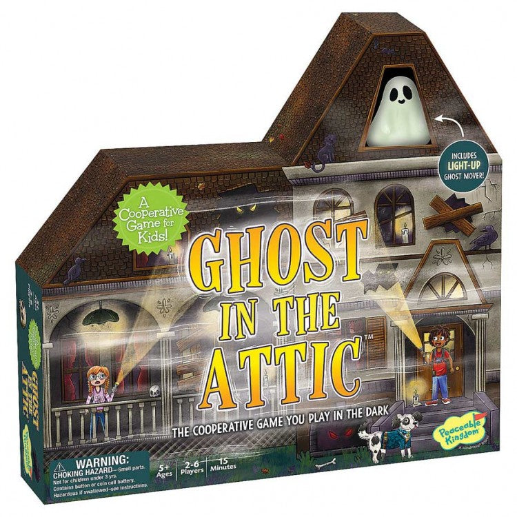 GHOST IN THE ATTIC