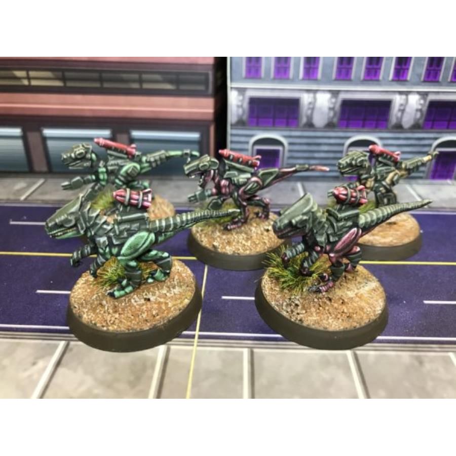 RAPTORBORGS