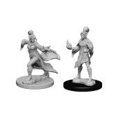 Pathfinder Deep Cuts: Elf Female Sorcerer