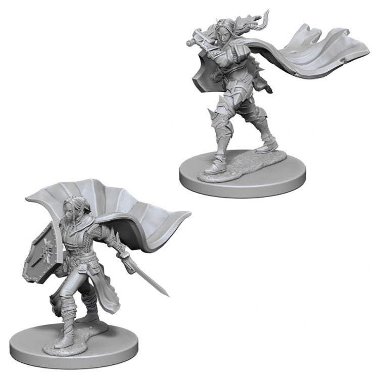 PATHFINDER DEEP CUTS: ELF FEMALE PALADIN