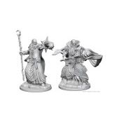 Nolzur's Human Male Wizard