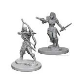Nolzur's Elf Female Ranger