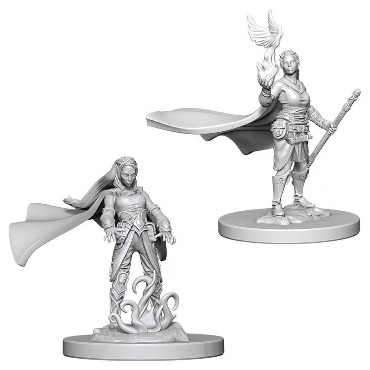 D&D NOLZUR'S ELF FEMALE DRUID