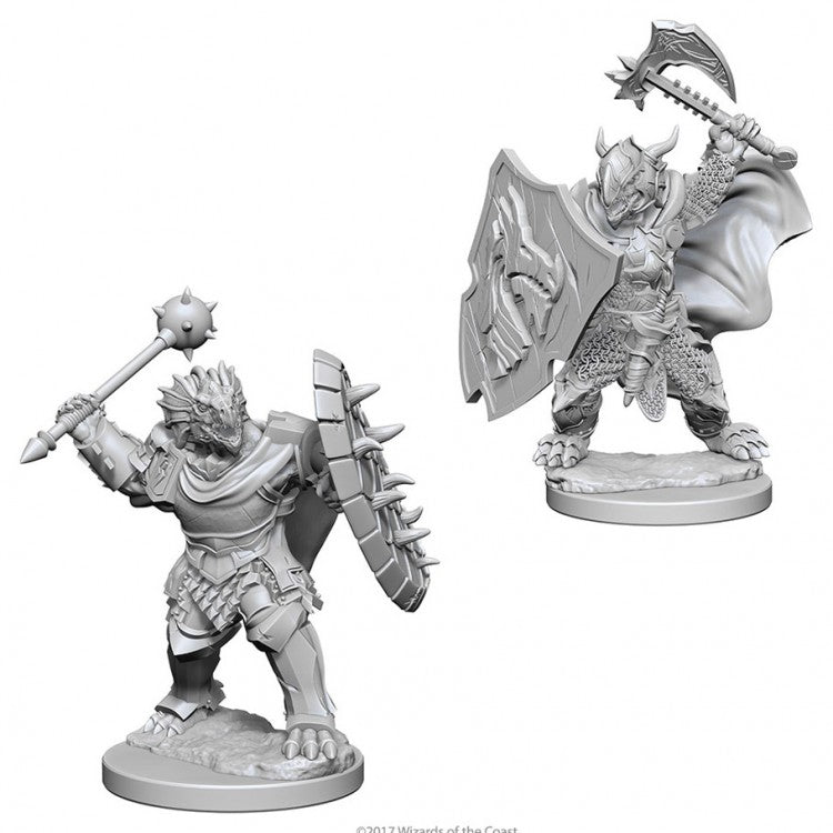 D&D NOLZUR'S DRAGONBORN MALE PALADIN