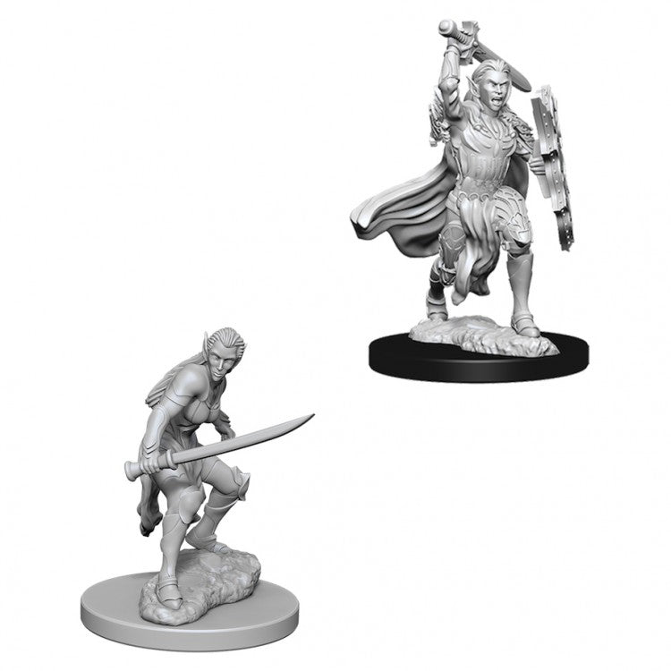 D&D NOLZUR'S FEMALE ELF FIGHTER