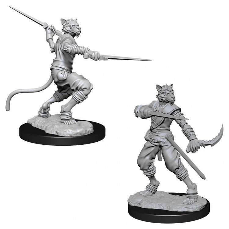 D&D NOLZUR'S MALE TABAXI ROGUE