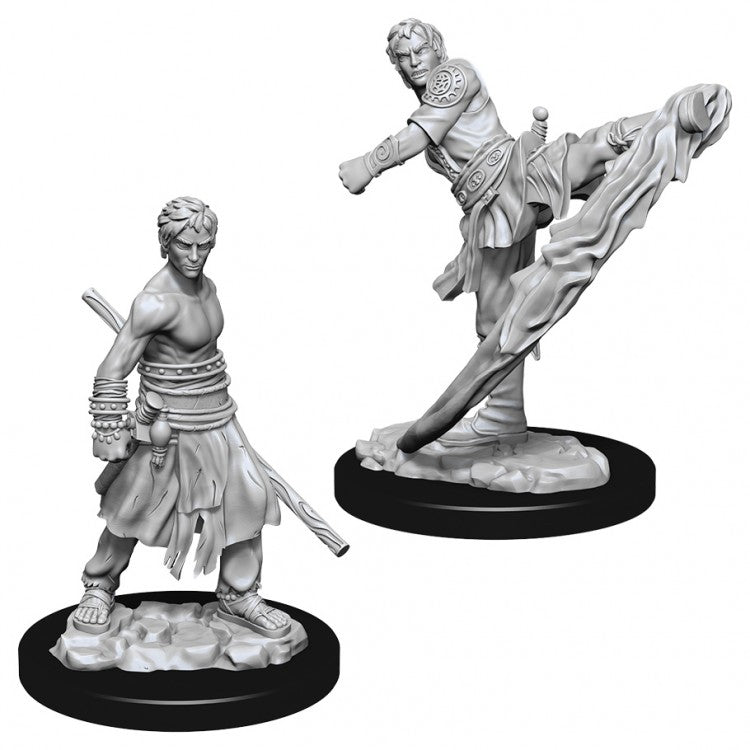 D&D NOLZUR'S MALE HALF-ELF MONK