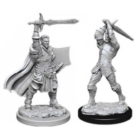 D&D NOLZUR'S MALE HUMAN PALADIN