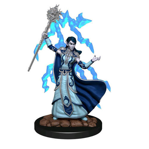 D&D PREMIUM ELF FEMALE WIZARD