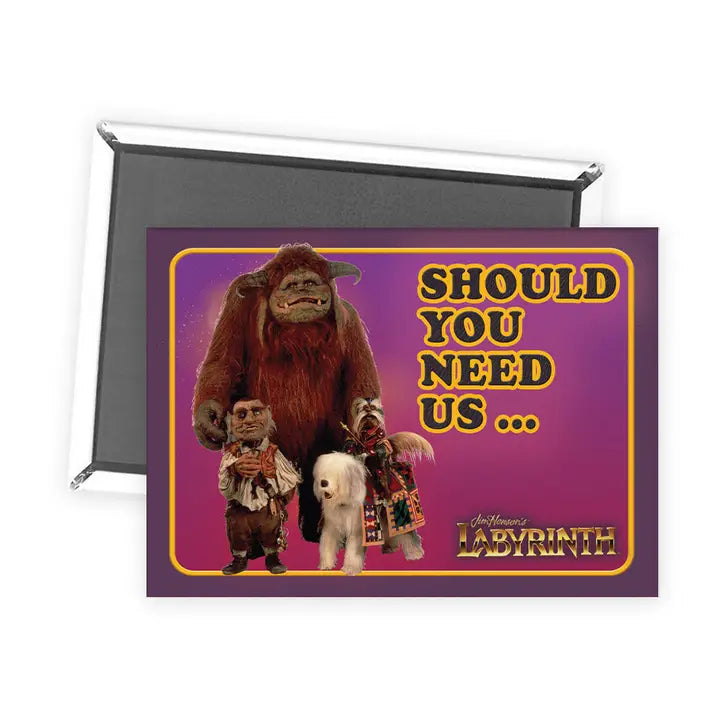 SHOULD YOU NEED US LABYRINTH MAGNET