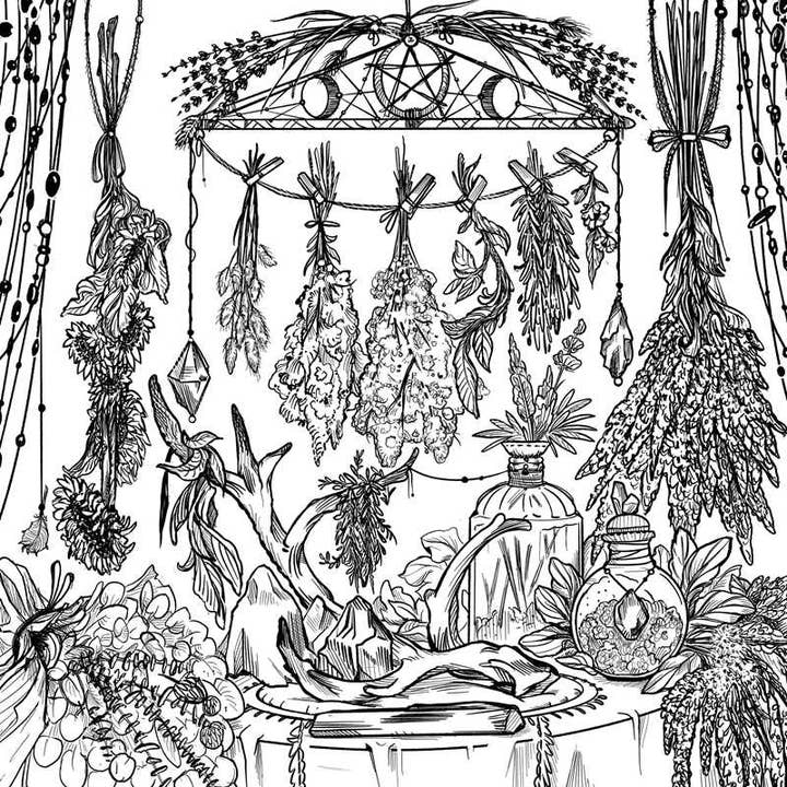 THE GREEN WITCH'S COLORING BOOK