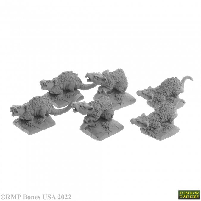 GIANT TOMB RATS (6)