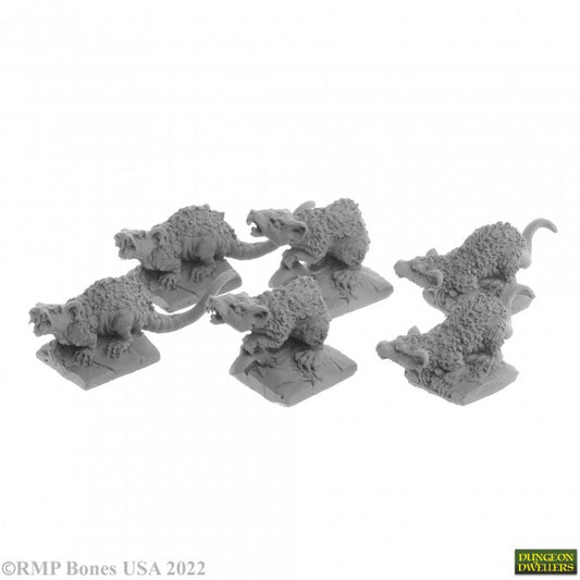 GIANT TOMB RATS (6)