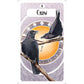 THE AVIAN ORACLE